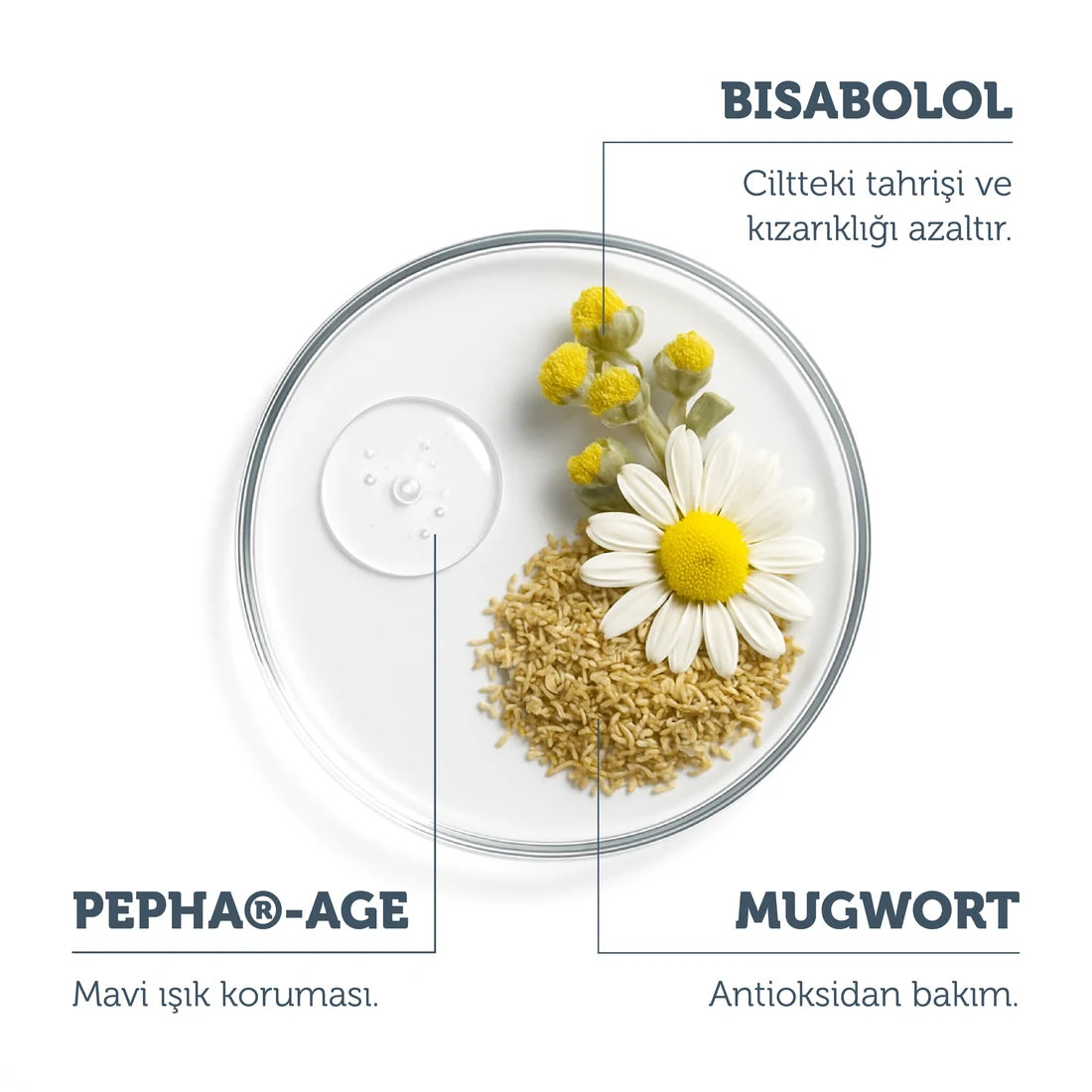 واقي شمس معدني ذا بيورست سوليشنز - 40 مل
