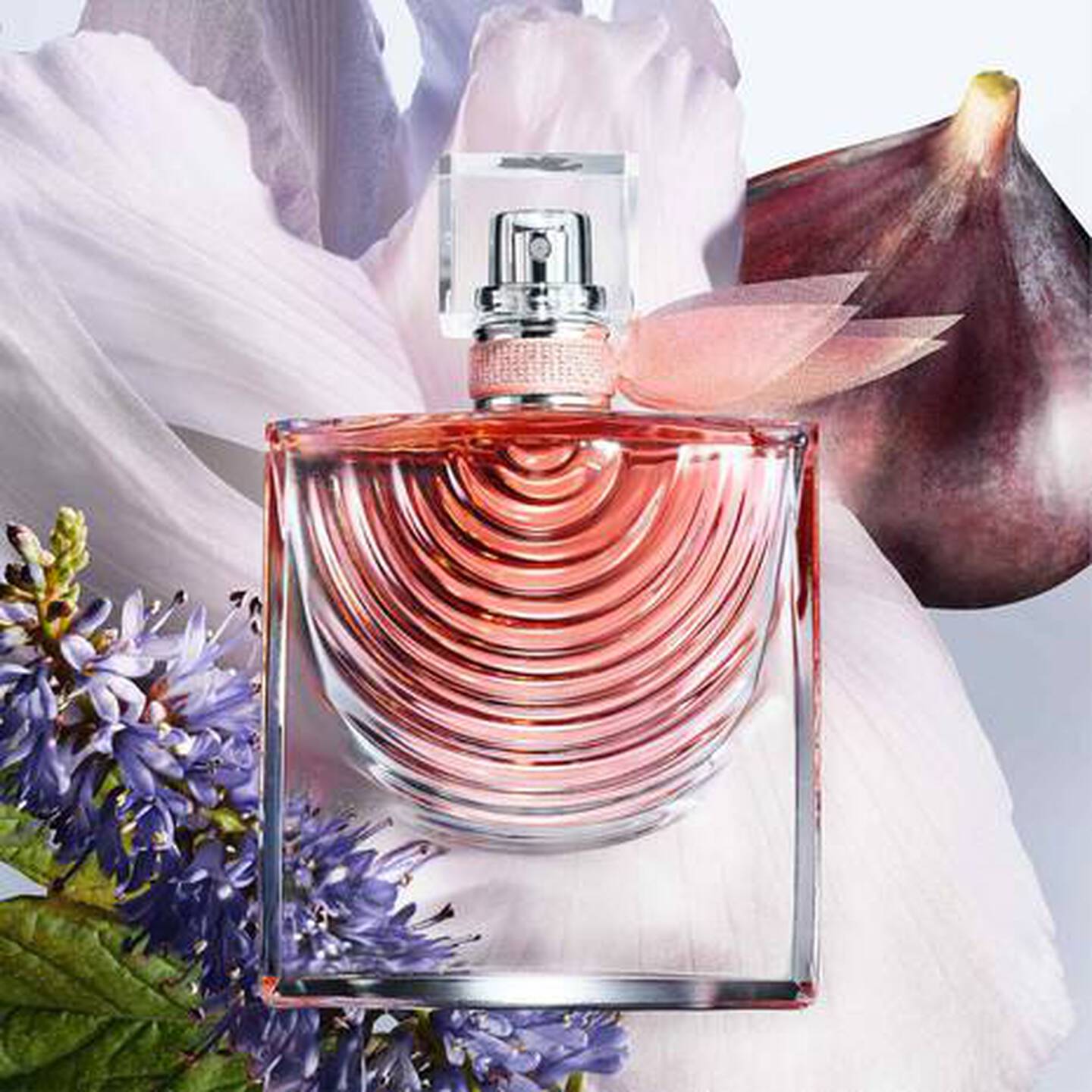 عطر لانكوم لا في إي بيل إيريس أبسولو برفيوم - 100 مل
